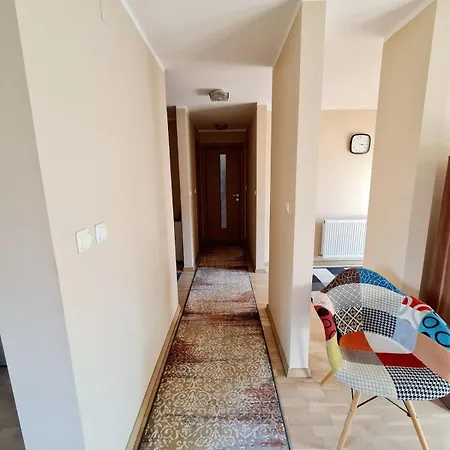 Cozy Open Space Near Old Center Of With Private Parking Space Apartment Timisoara